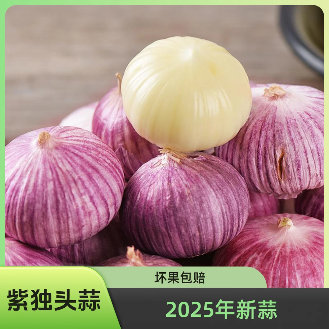 【2025新晒干蒜】紫皮独头蒜新鲜现挖大蒜头辛辣饱满香辣脆爽1-5斤