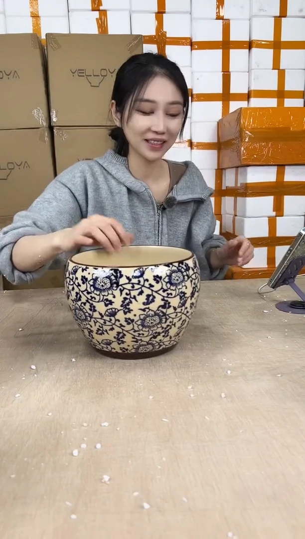 苹果青花瓷中号20x15