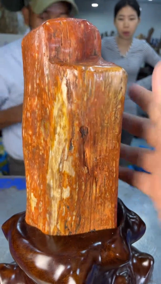 未镶嵌摆件硅化玉9