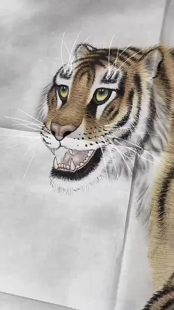 书法绘画书法绘画