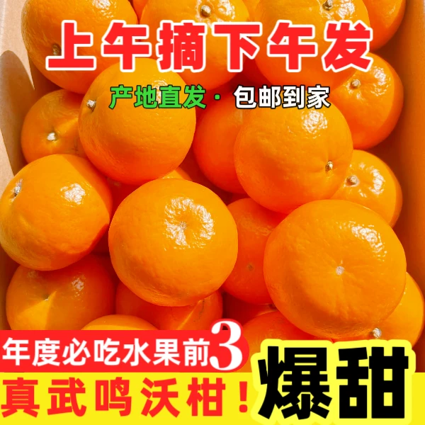 正宗武鸣沃柑当季新鲜水果皮薄多汁香甜柑橘孕妇小孩可吃年货送礼