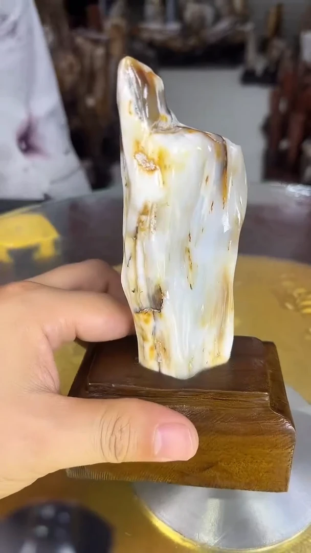 硅化玉珠宝奇石未镶嵌缅甸天然树化玉