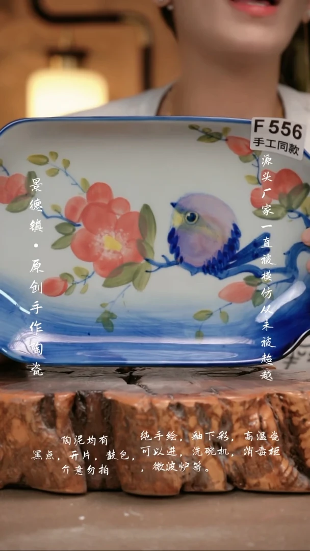 其他F556新十二器