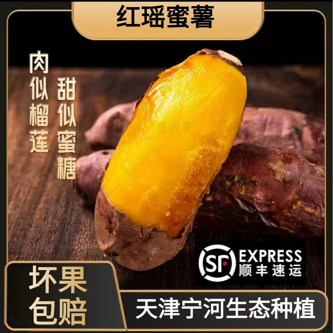 正宗天津宁河岳龙红瑶蜜薯地瓜当季新鲜番薯香甜软糯红薯顺丰包邮