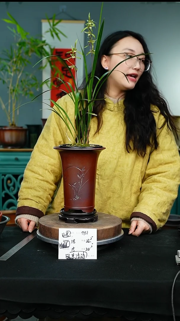 紫砂花盆5931+s颜色不挑