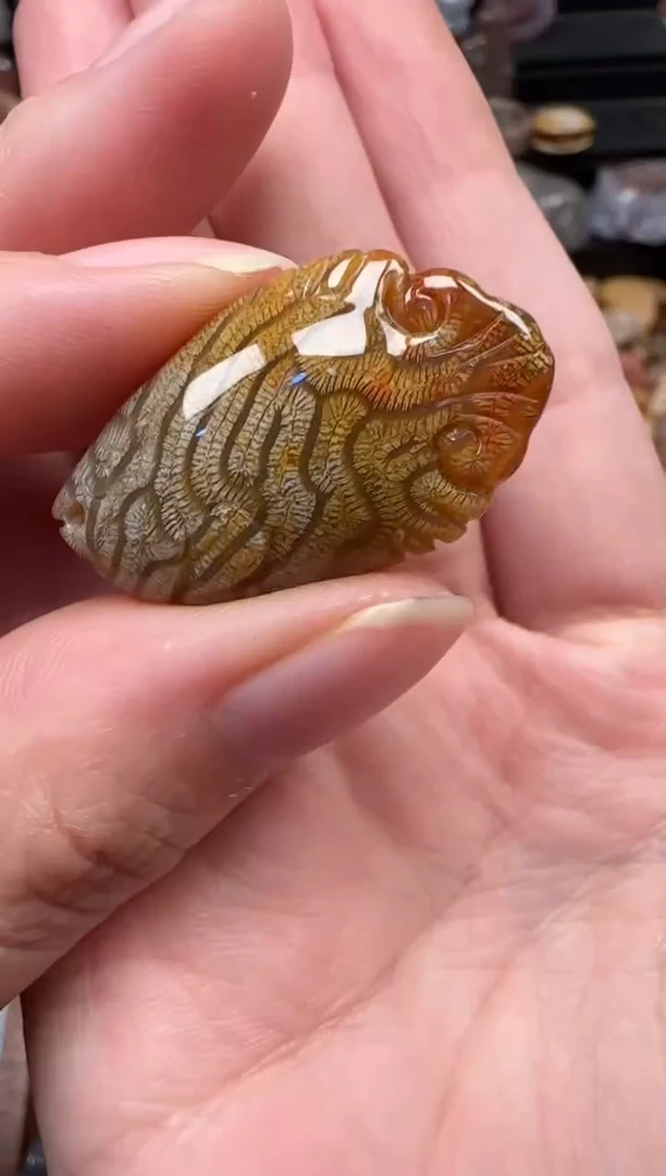 颈饰未镶嵌硅化珊瑚（珊瑚玉）359