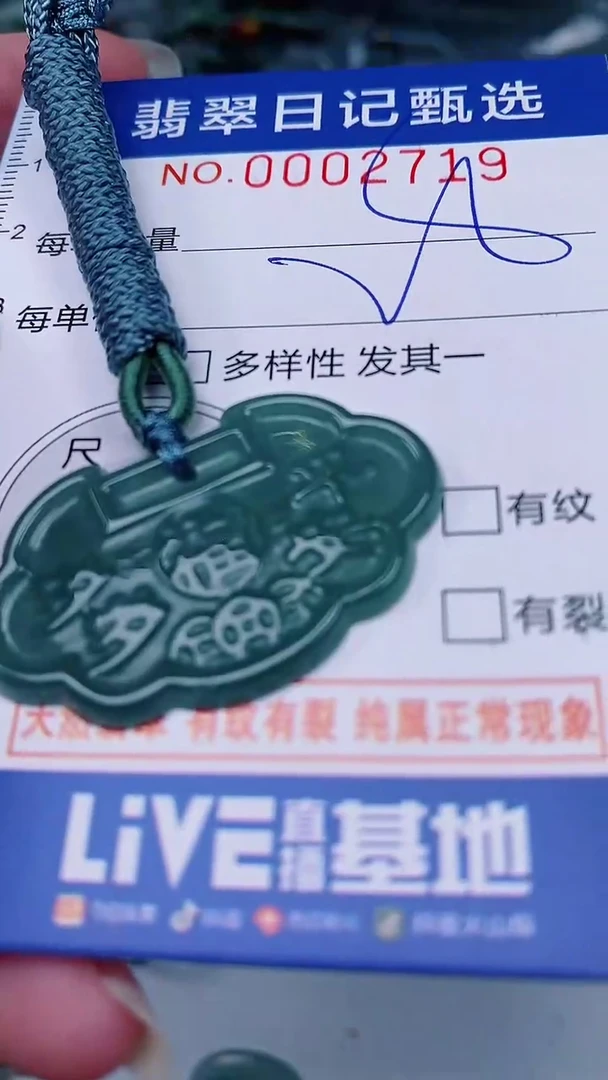 翡翠未镶嵌颈饰00002719