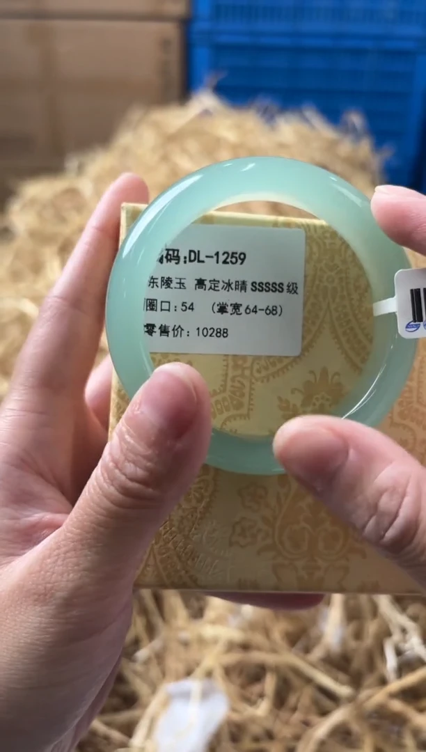 未镶嵌手镯石英质玉DL-1259