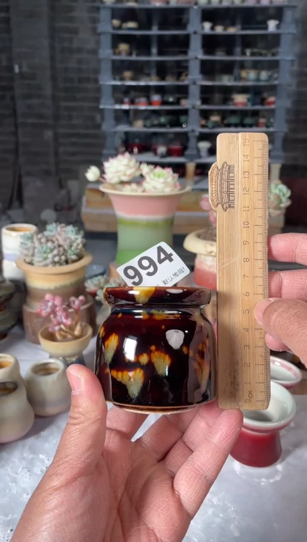 瓷片994小芳直播编号