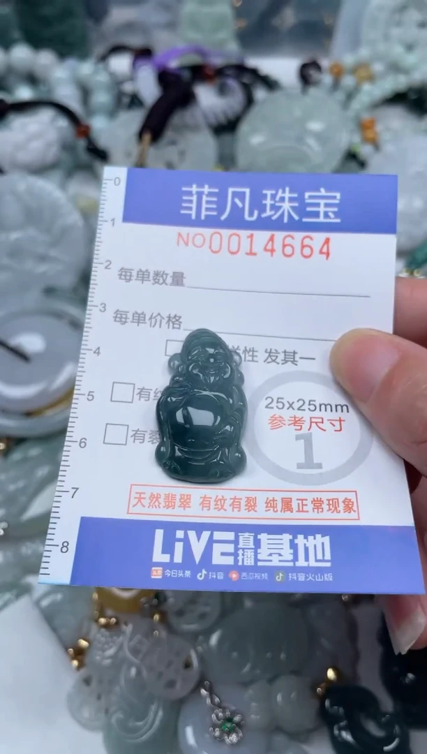 颈饰未镶嵌翡翠14664