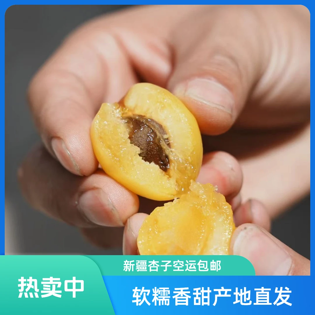 顺丰空运正宗新疆轮台小白杏特大果软糯香甜新鲜产地直发