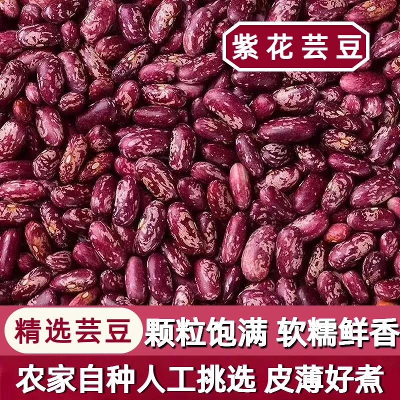 东北紫花芸豆红芸豆花腰豆紫芸豆农家自种精选大颗粒软糯易煮新豆