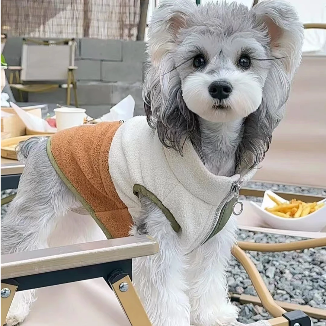 （甜宠旺Yara）T狗狗活体