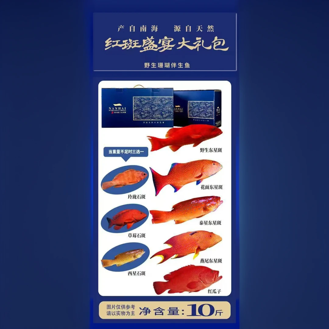 南海特产西沙群岛野生彩石斑鱼红斑盛宴大礼包生鲜冷冻清蒸红烧