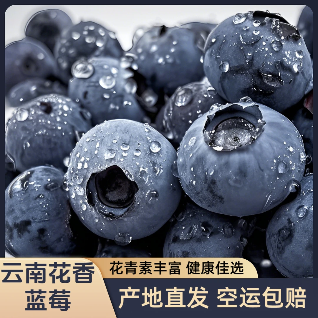 【送半斤】云南正宗花香蓝莓125克/盒脆甜花青素新鲜现摘空运包赔