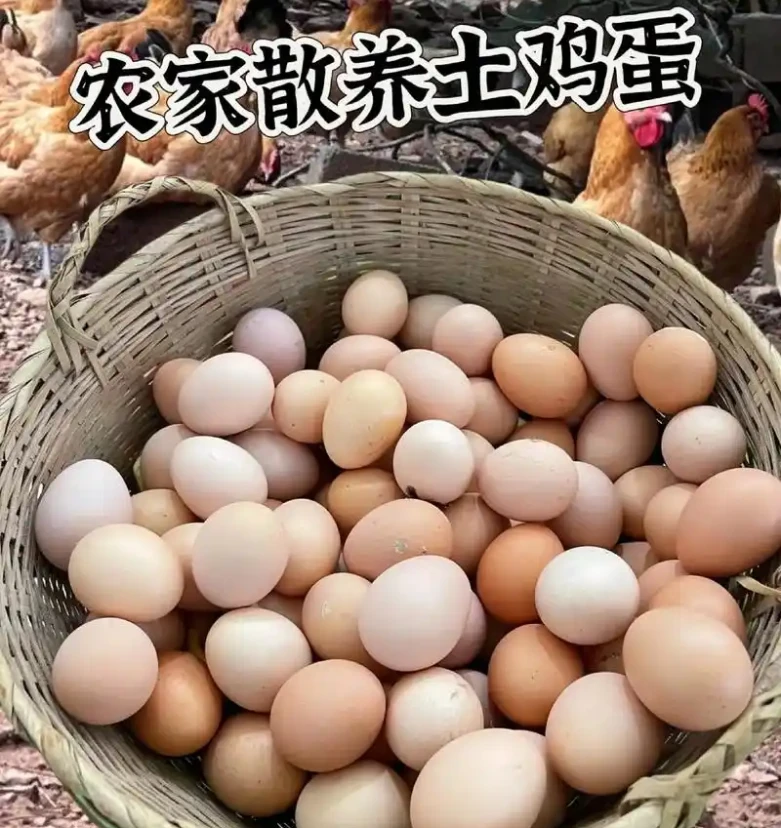 乡村农家散养土鸡蛋