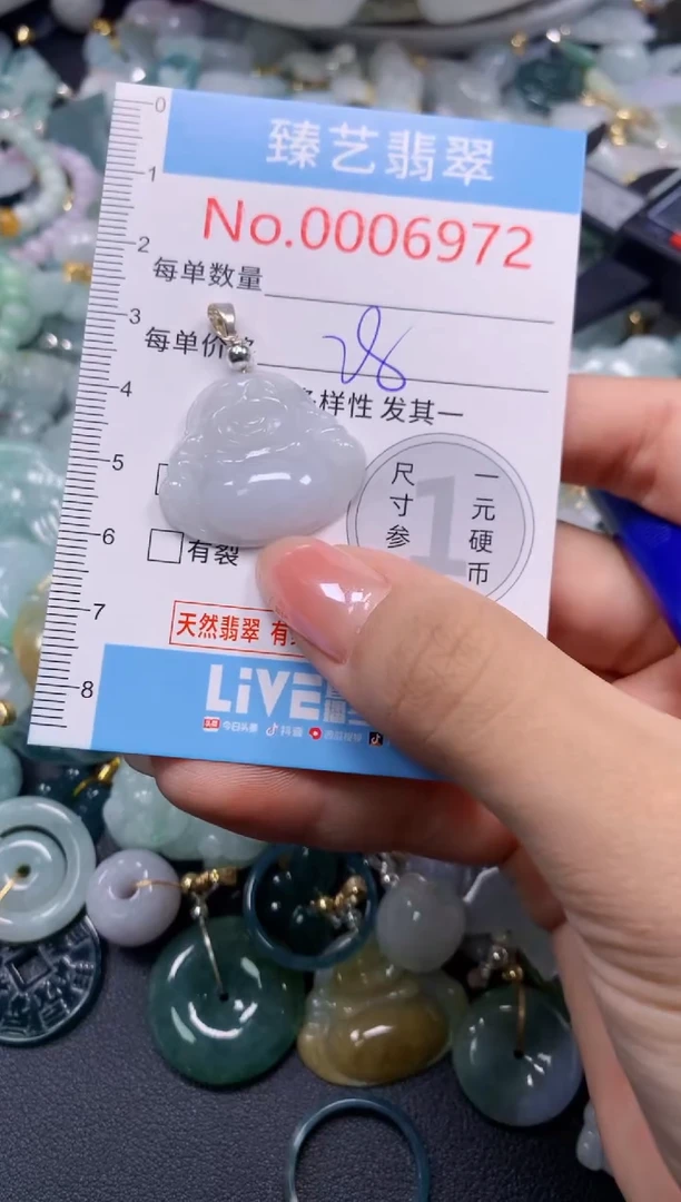 颈饰未镶嵌翡翠6972