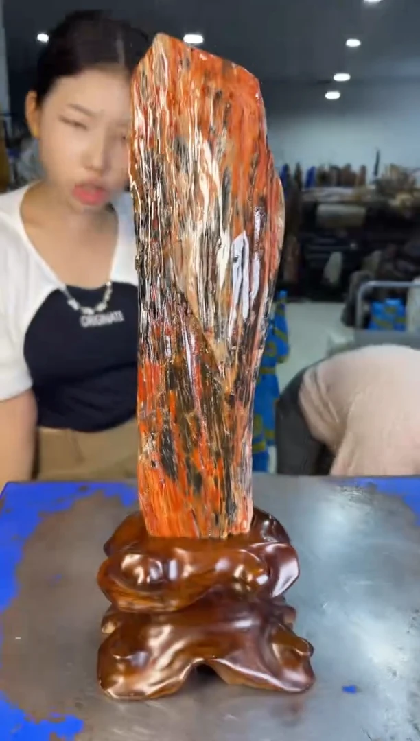 未镶嵌摆件硅化玉27