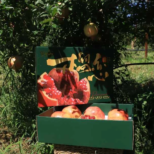 黛青山富硒软籽石榴 黛丹系列 精品礼盒装 单果300克以上