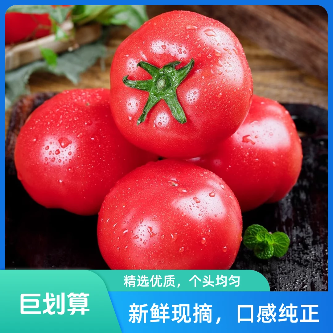 现摘攀枝花沙瓤爆汁西红柿自然成熟3斤/5斤【川渝贵阳次日达 京东包邮】番茄同城配沙瓤西红柿四川省