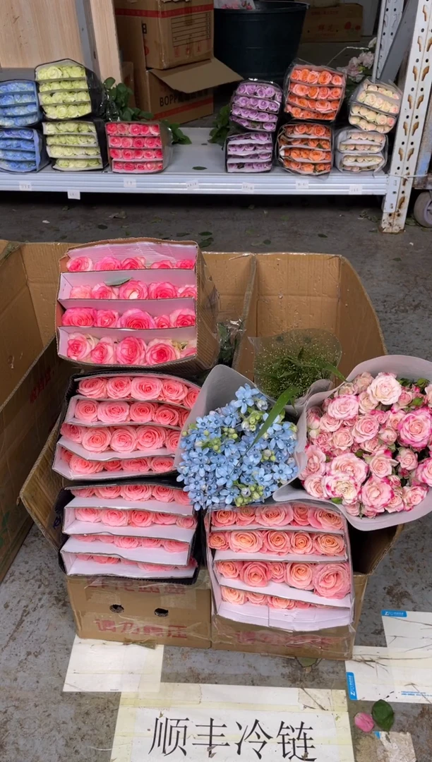 戴安娜2扎+爱莎1扎+朱小姐1扎+折射1扎+蓝星花+喷泉草