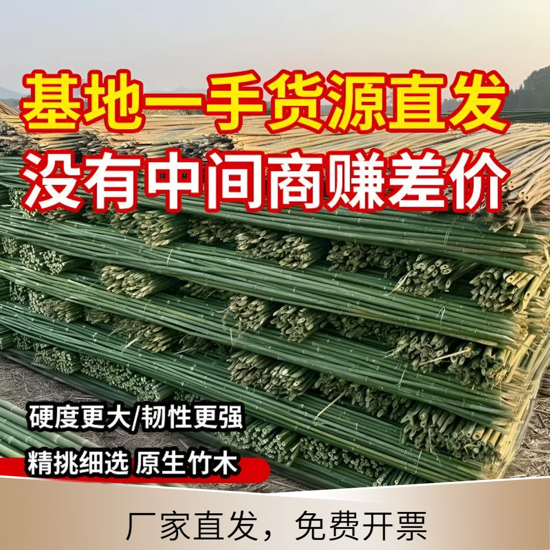 竹竿栅栏菜园支架黄瓜竹竿搭架豆角搭架专用杆豆角架杆2米长竹竿