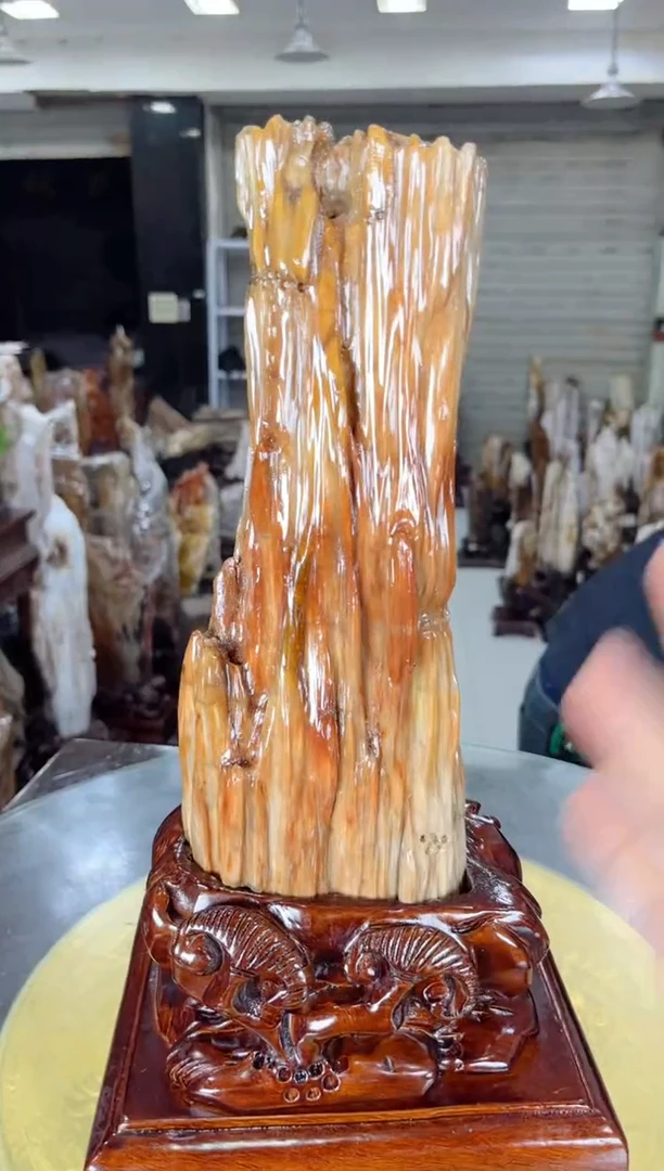 【闪购商品】硅化玉珠宝奇石未镶嵌缅甸天然树化玉