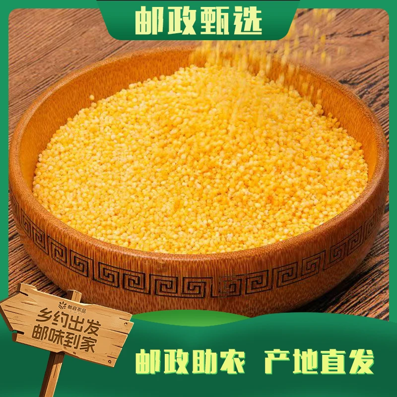 云南农家小米 煲粥软糯香甜