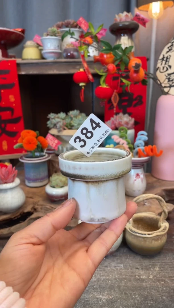 【闪购商品】摆件384知木小芳花盆