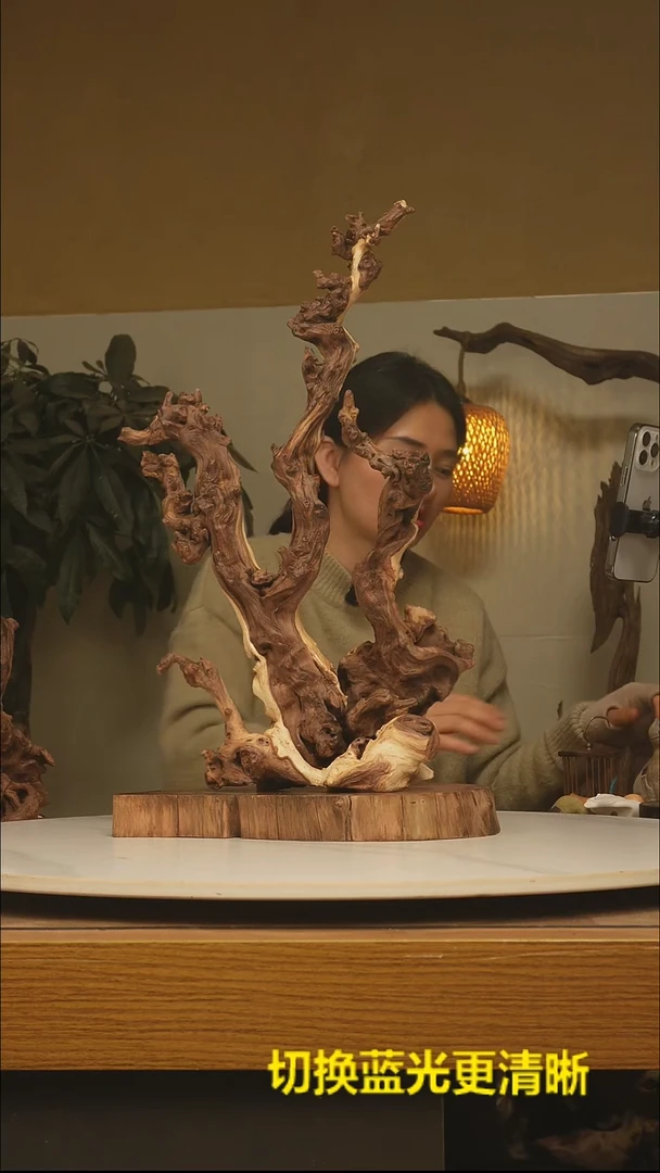 木序*根雕摆件类928