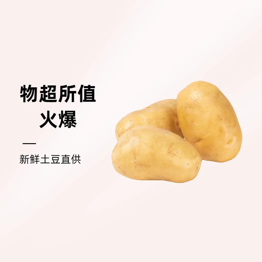 【五泉精选】0.1元重磅福利土豆5个约800g