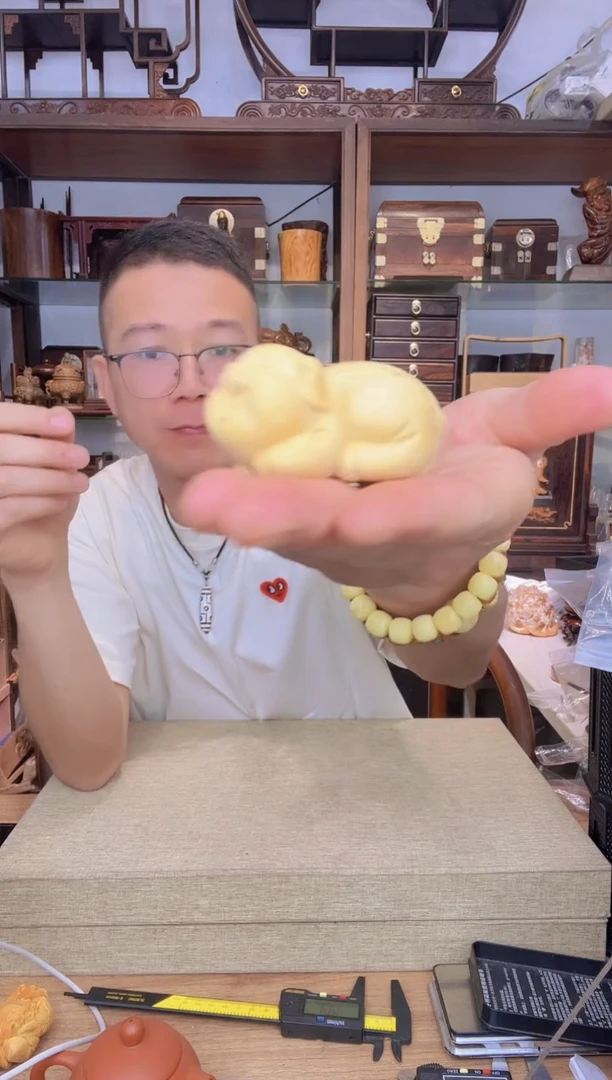 乌木类架子371小叶黄杨小福猪