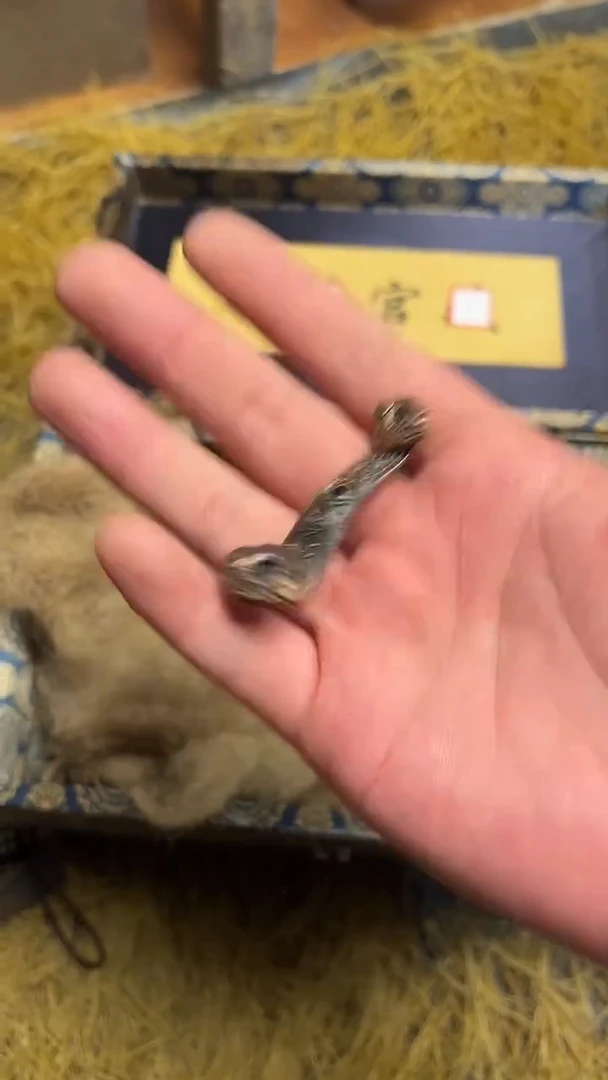 吊坠滴血莲花菩提所见即所得