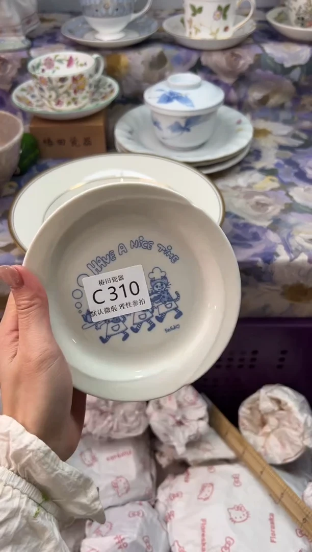 瓷片五*肉瓷片瓷片          C 310