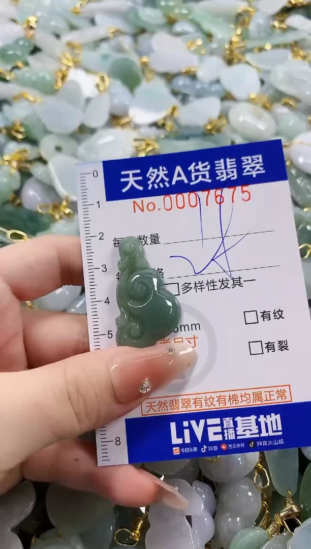 颈饰未镶嵌翡翠天然A货翡翠
