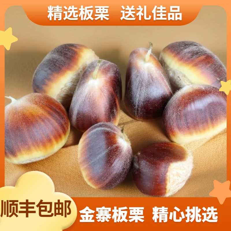 【大果板栗精选到手】金寨板栗现摘大果丰收季送礼新鲜板栗