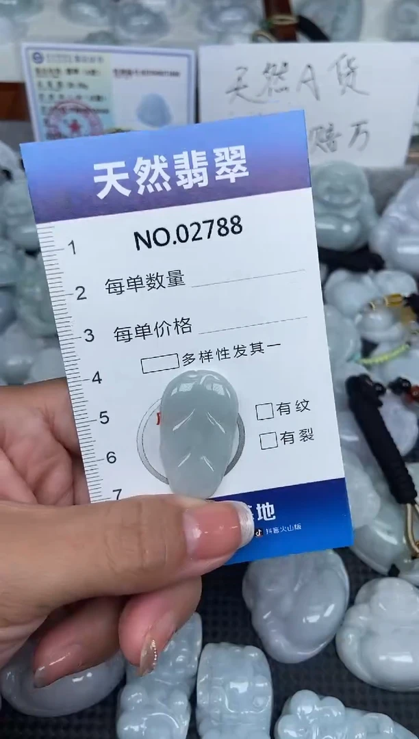 颈饰未镶嵌翡翠纯天然A货翡翠2788
