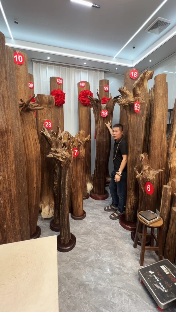 沉香摆件洪*泽沉香原料