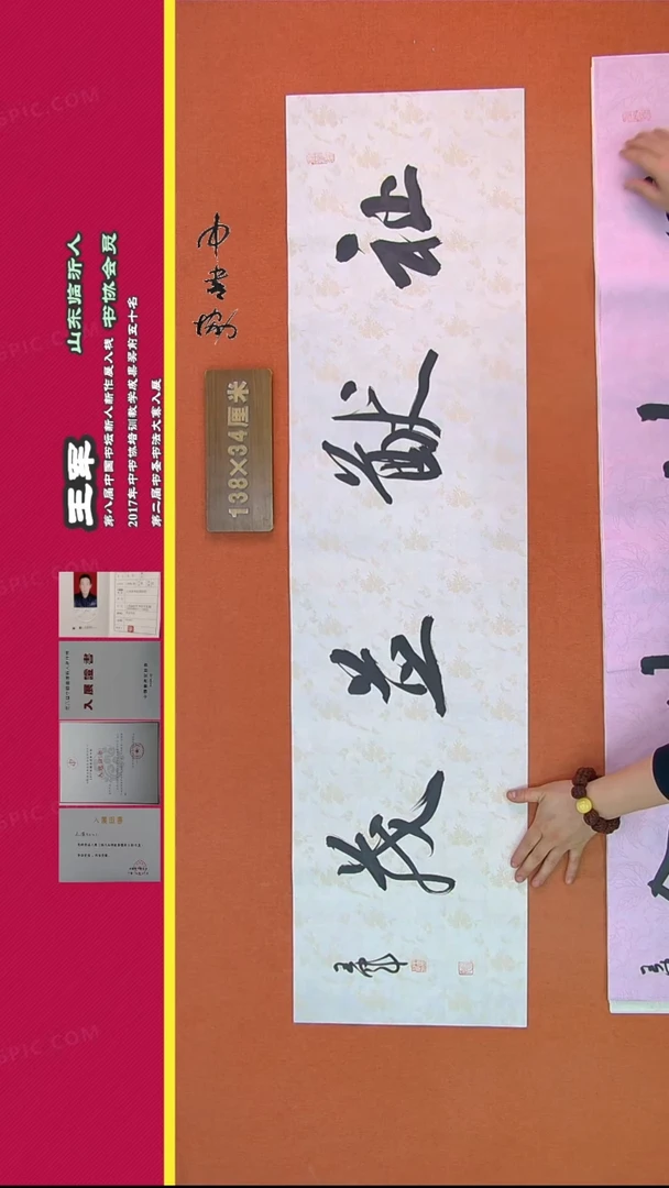 【闪购商品】书法204王军书法作品