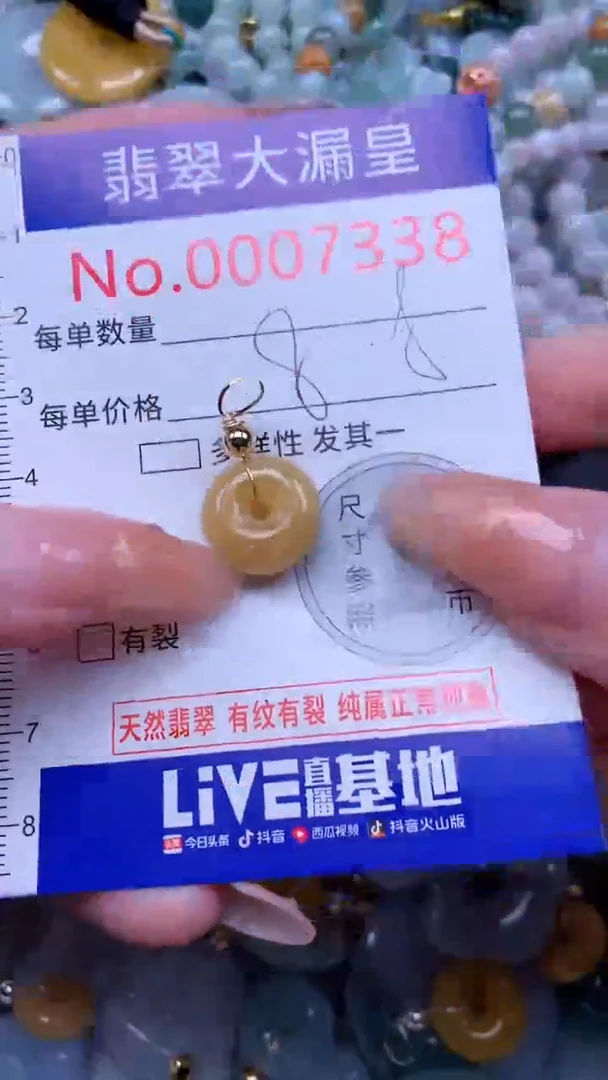 翡翠未镶嵌吊坠(不含链)7338