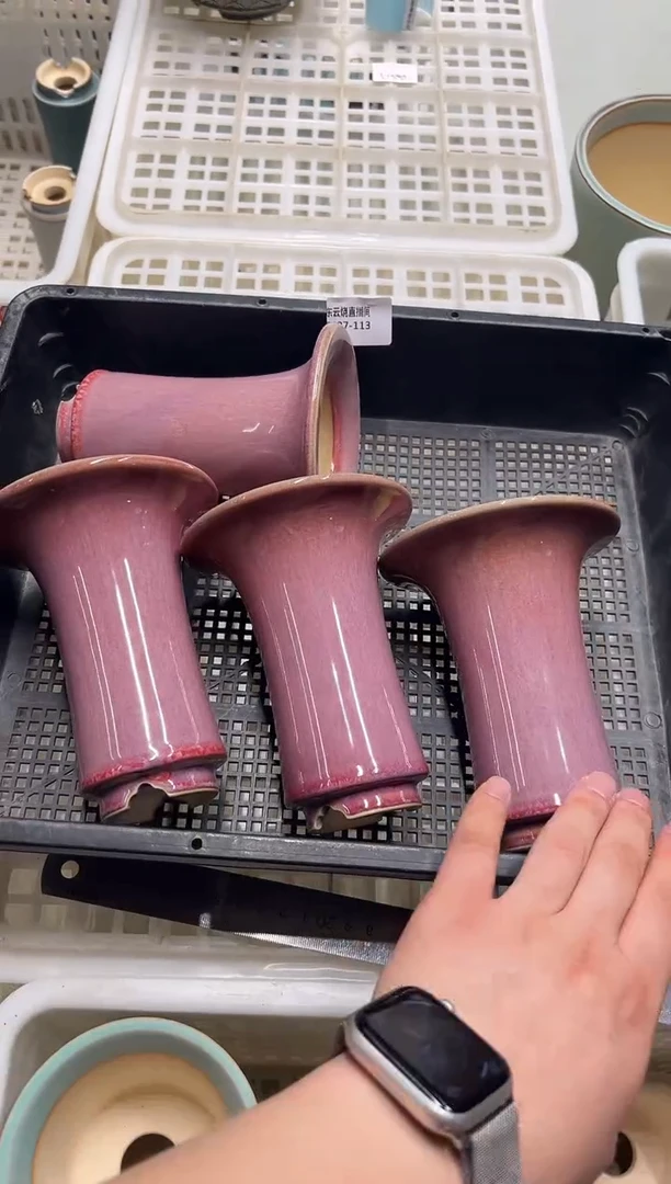 0627-113 曼塔量拍 随机一只