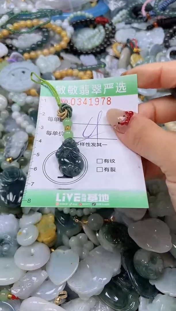 颈饰未镶嵌翡翠闪购0341978多样性发其一