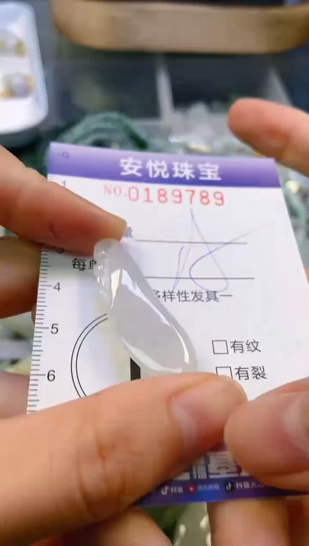 翡翠未镶嵌颈饰闪购0189789