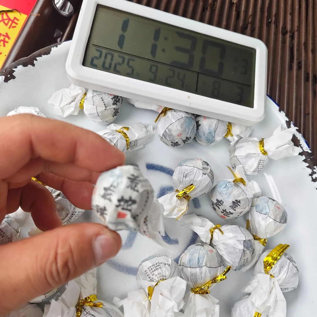 【302号】2024年忙糯老树 荒地小龙珠 春 普洱茶生茶 250克 9月24