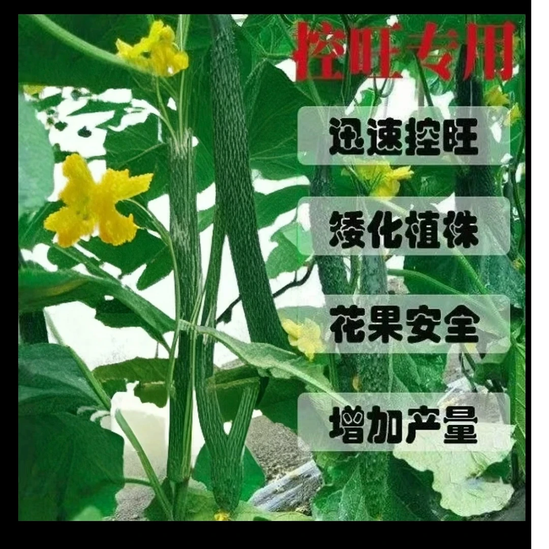 快速控旺剂只控秧不伤花果开花多提高产量瓜果蔬菜通用型