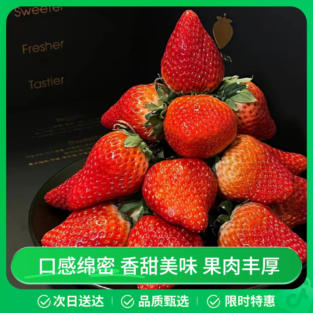 【全城送隔日达】YM丹东99草莓 香甜可口 软糯多汁嘎嘎甜