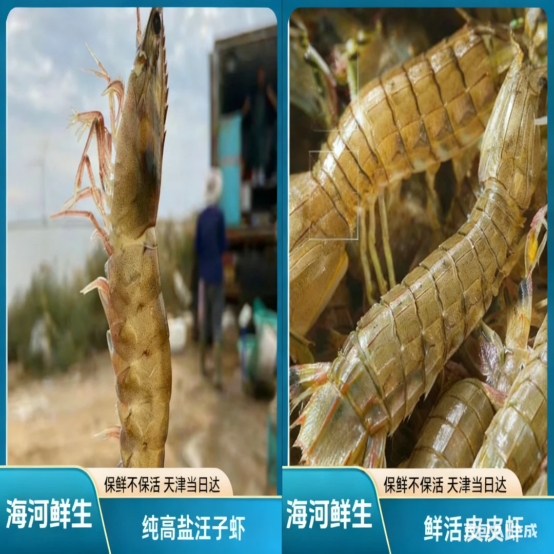 【皮皮虾+盐汪子虾】【保鲜不保活】盐汪子虾+皮皮虾混装3-5斤（16-18）