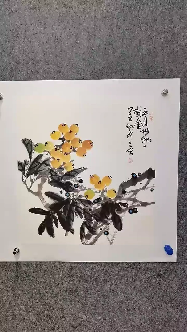 五月枇杷一树金50*50cm