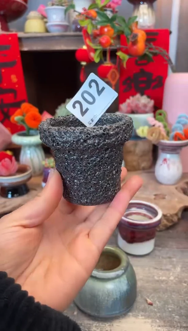 【闪购商品】摆件202知木小芳花盆