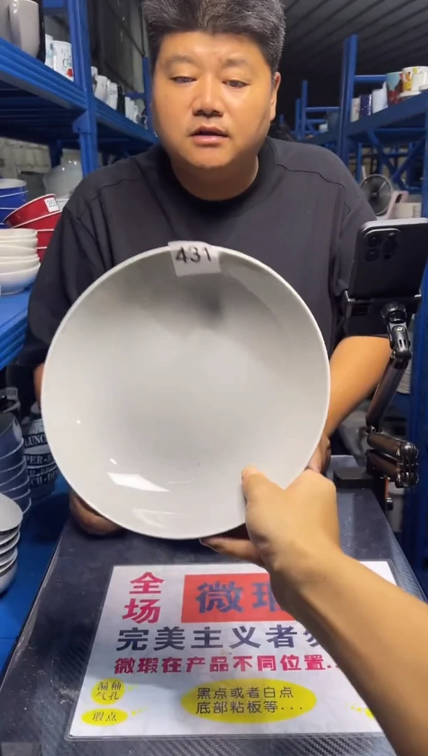 盘431 9寸 2只装